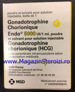 Gonadrotrophine Chorionique (HCG)